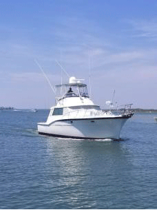 Nauti Pirate Offshore Fishing. Topsail Beach, NC