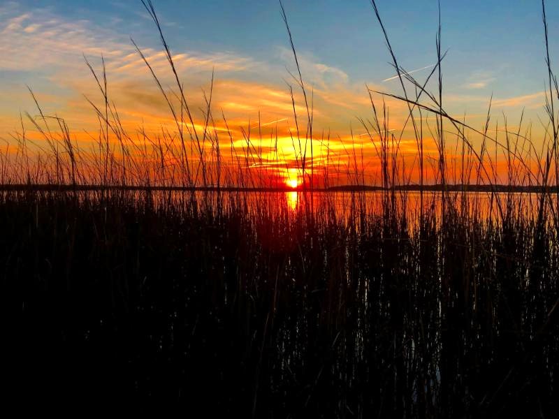 Historical Society of Topsail Island | Programs and Activities | Bumblebee Buzz